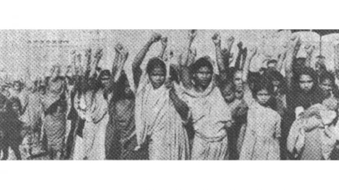 2603-১.jpg